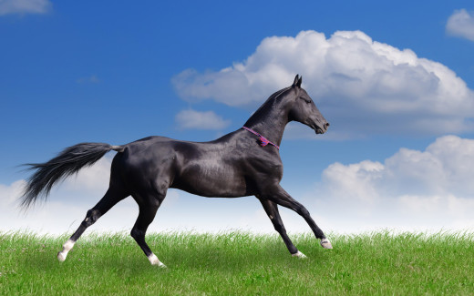 502798 (a): :2560x1600
